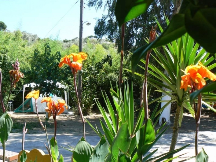 zobacz camping - zdjęcie 8