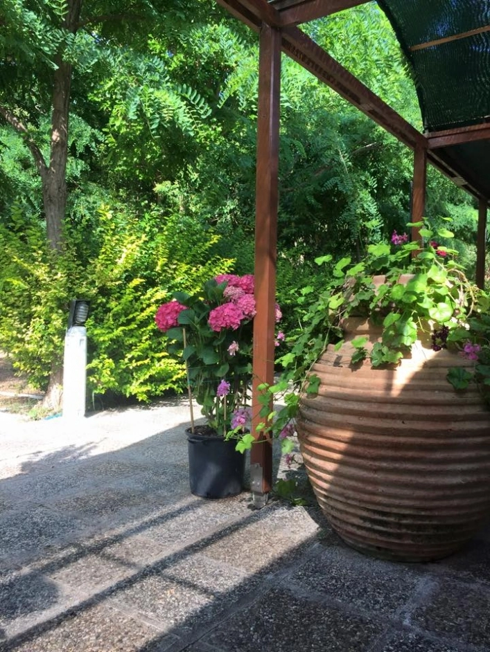 zobacz camping - zdjęcie 24