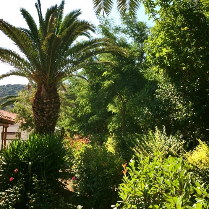 zobacz camping - zdjęcie 22