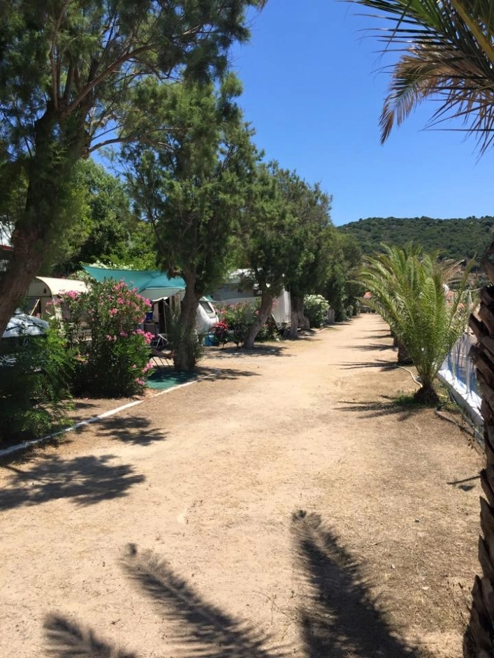 zobacz camping - zdjęcie 15