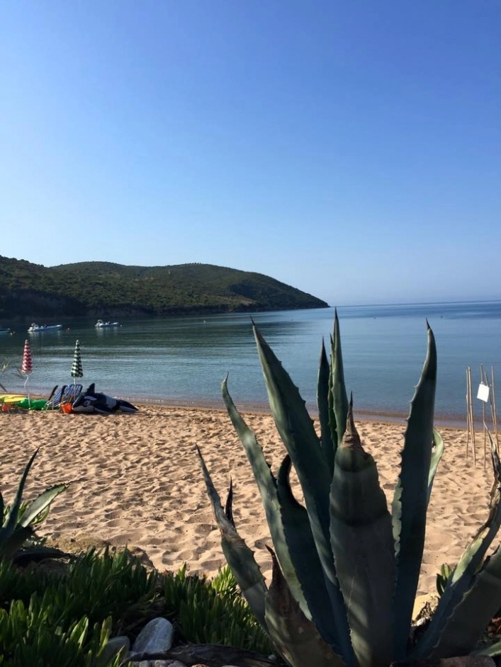 zobacz camping - zdjęcie 11