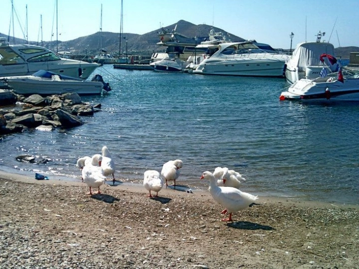 zobacz camping - zdjęcie 6