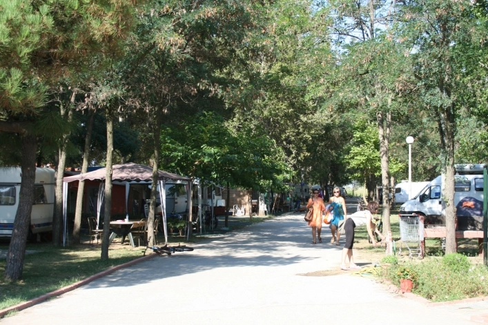 zobacz camping - zdjęcie 31