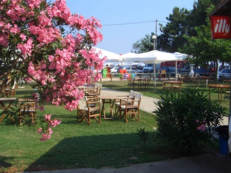 zobacz camping - zdjęcie 30