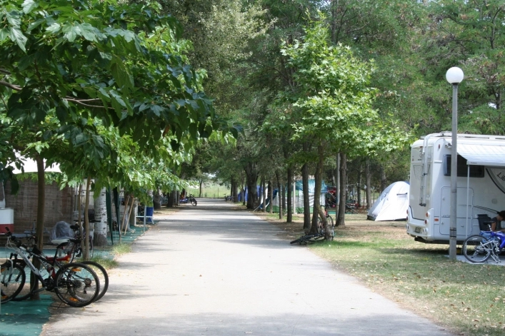 zobacz camping - zdjęcie 24