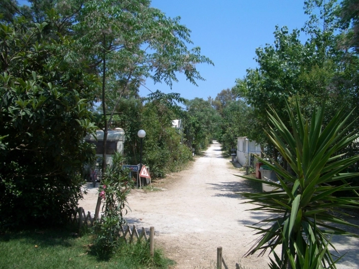 zobacz camping - zdjęcie 7