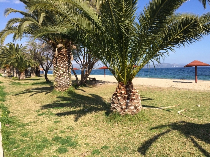 zobacz camping - zdjęcie 5