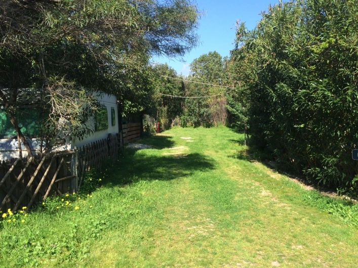 Camping Nea Makri - zdjęcie 2