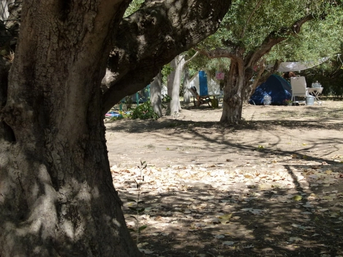 zobacz camping - zdjęcie 1