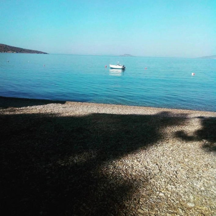 zobacz camping - zdjęcie 17