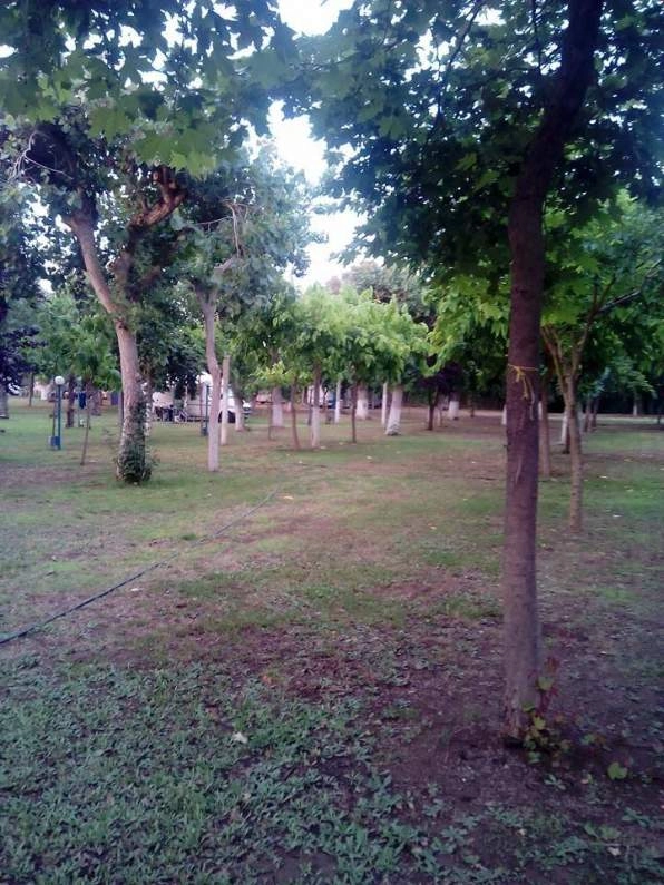 zobacz camping - zdjęcie 9