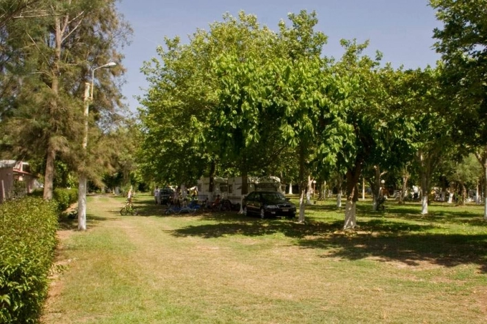 Camping Paradise - zdjęcie 2