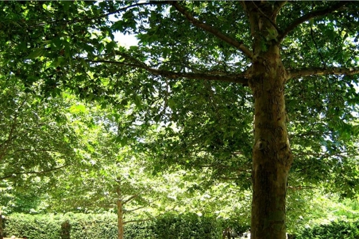 zobacz camping - zdjęcie 10