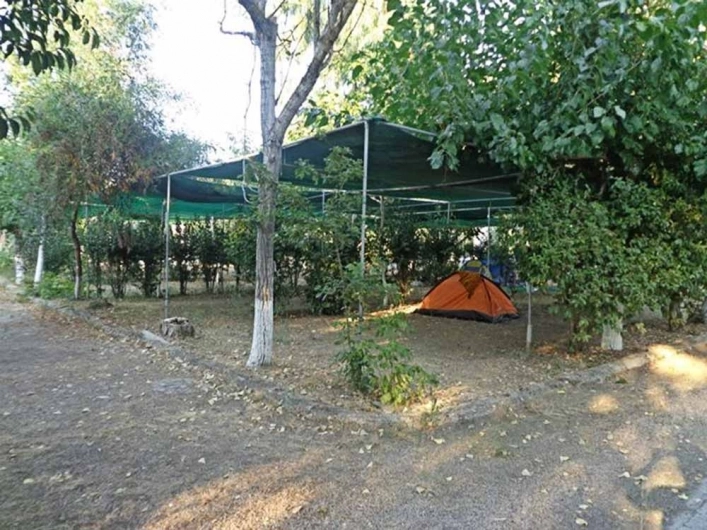 zobacz camping - zdjęcie 20