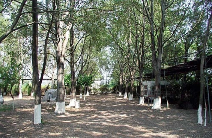 zobacz camping - zdjęcie 12