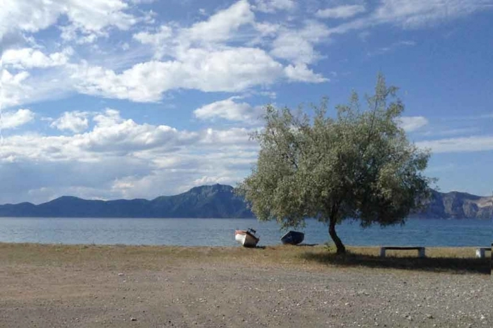 zobacz camping - zdjęcie 9