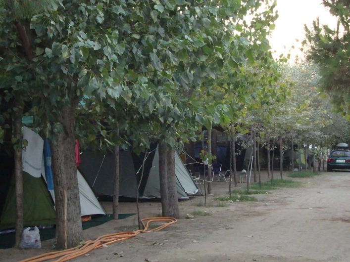 zobacz camping - zdjęcie 14