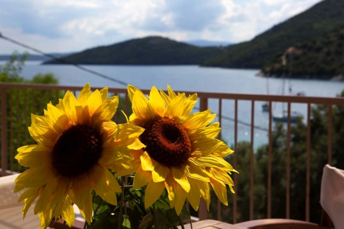 zobacz camping - zdjęcie 25