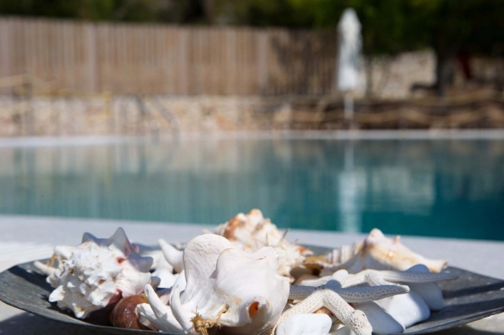 zobacz camping - zdjęcie 6