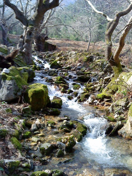 zobacz camping - zdjęcie 22