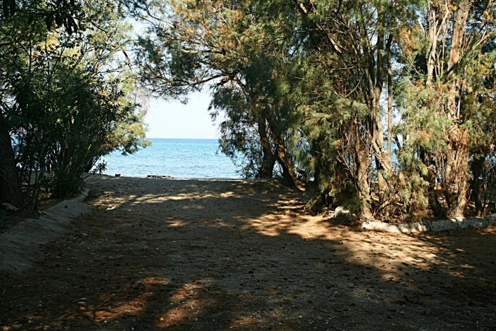 zobacz camping - zdjęcie 21