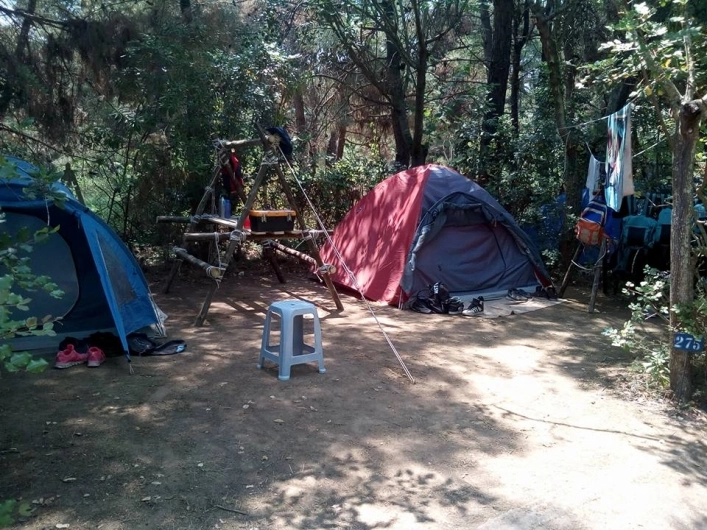 zobacz camping - zdjęcie 11