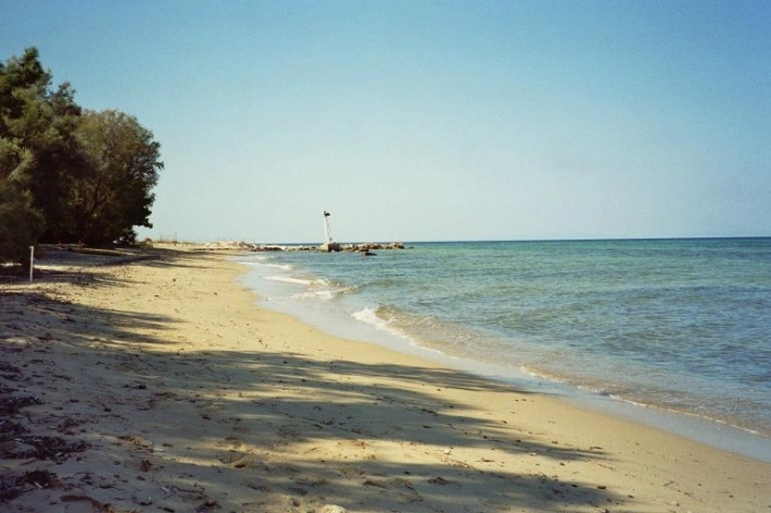 zobacz camping - zdjęcie 10