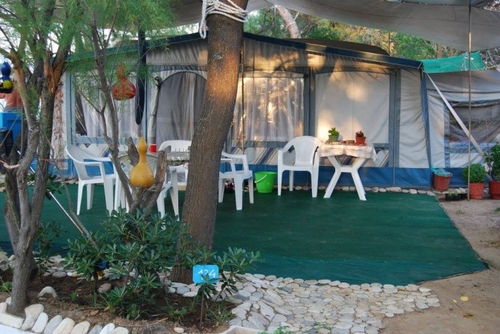 zobacz camping - zdjęcie 6