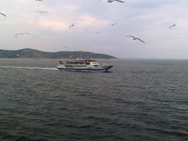 zobacz camping - zdjęcie 2