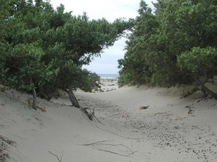 zobacz camping - zdjęcie 1