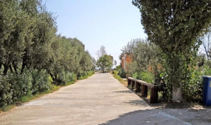 zobacz camping - zdjęcie 34