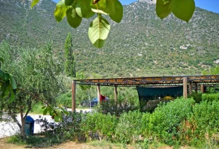 zobacz camping - zdjęcie 28