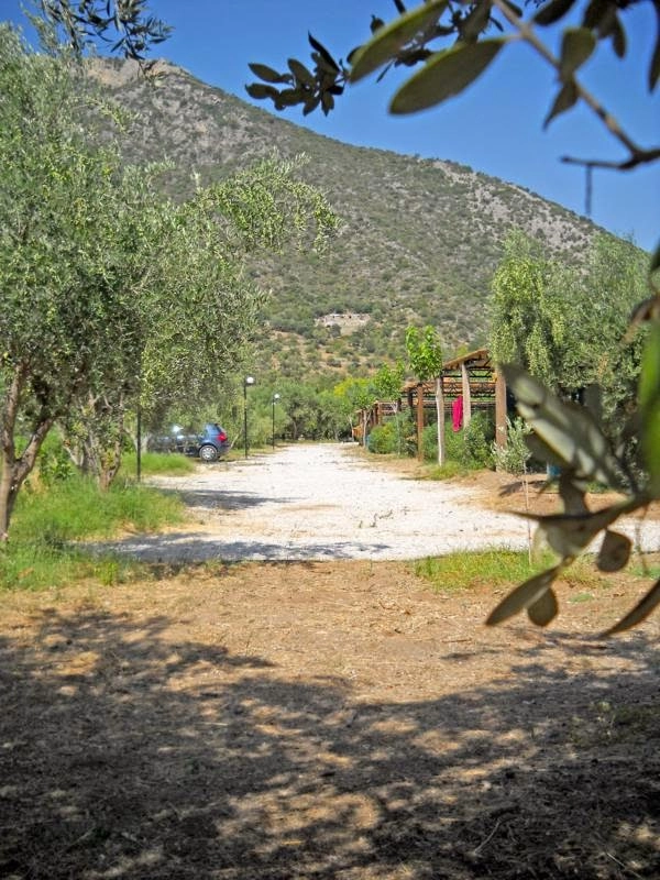 zobacz camping - zdjęcie 27