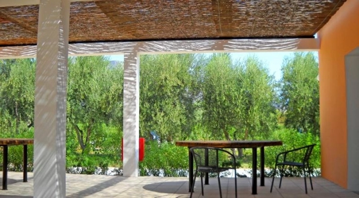 zobacz camping - zdjęcie 26