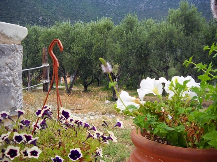 zobacz camping - zdjęcie 20