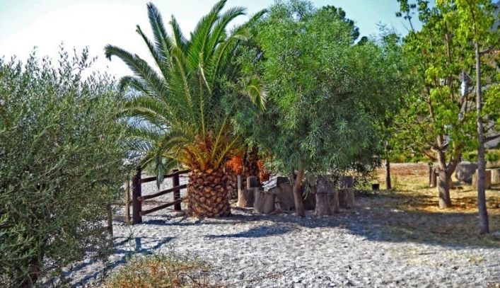 zobacz camping - zdjęcie 19