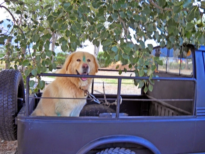 zobacz camping - zdjęcie 16