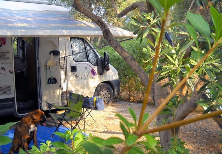 zobacz camping - zdjęcie 12
