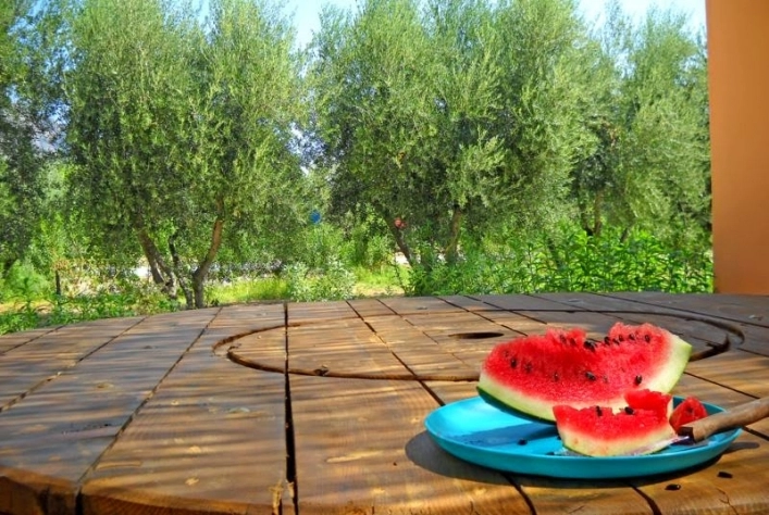 zobacz camping - zdjęcie 10
