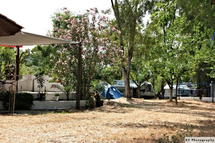 zobacz camping - zdjęcie 37