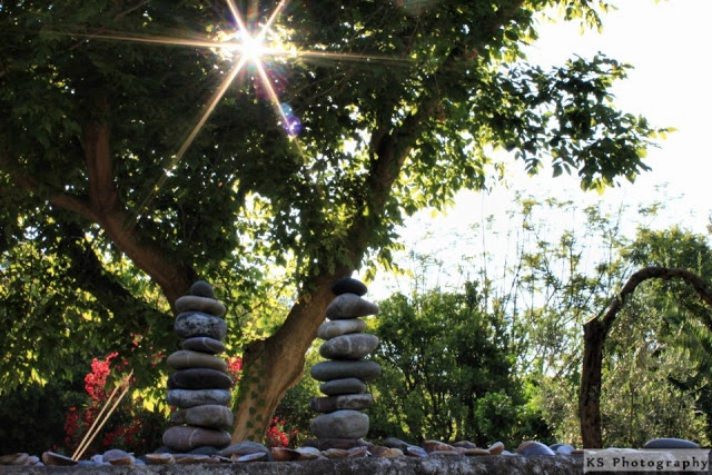 zobacz camping - zdjęcie 35