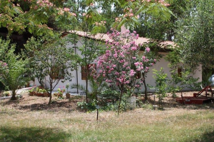 zobacz camping - zdjęcie 34