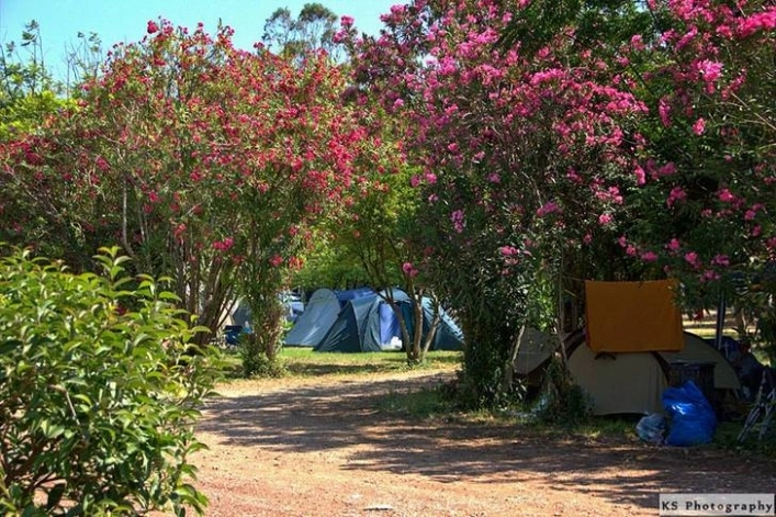 zobacz camping - zdjęcie 28