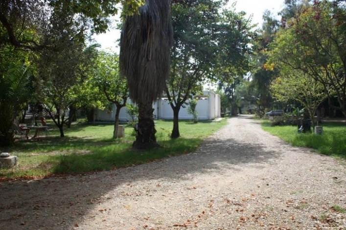 zobacz camping - zdjęcie 20