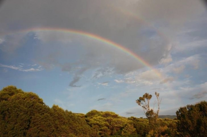 zobacz camping - zdjęcie 15