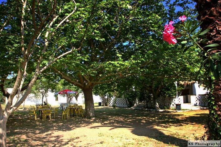 zobacz camping - zdjęcie 13