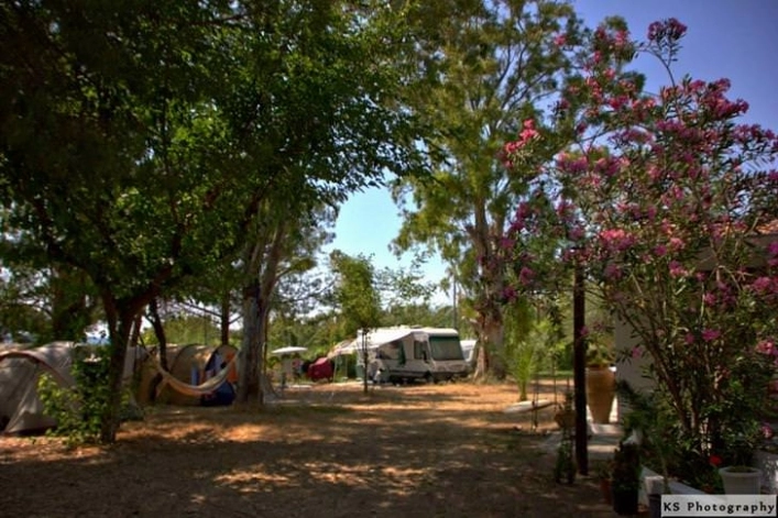 zobacz camping - zdjęcie 8