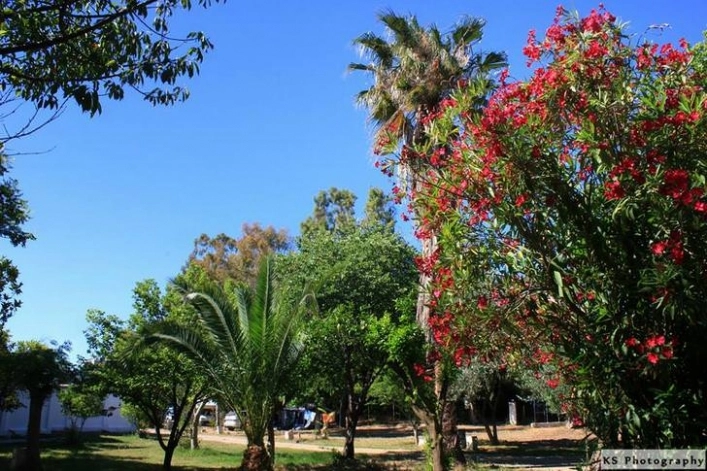 zobacz camping - zdjęcie 6