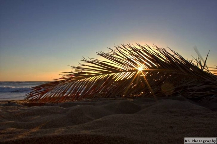 Camping Tholo Beach - zdjęcie 3