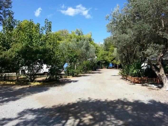 Camping Zaritsi - zdjęcie 1